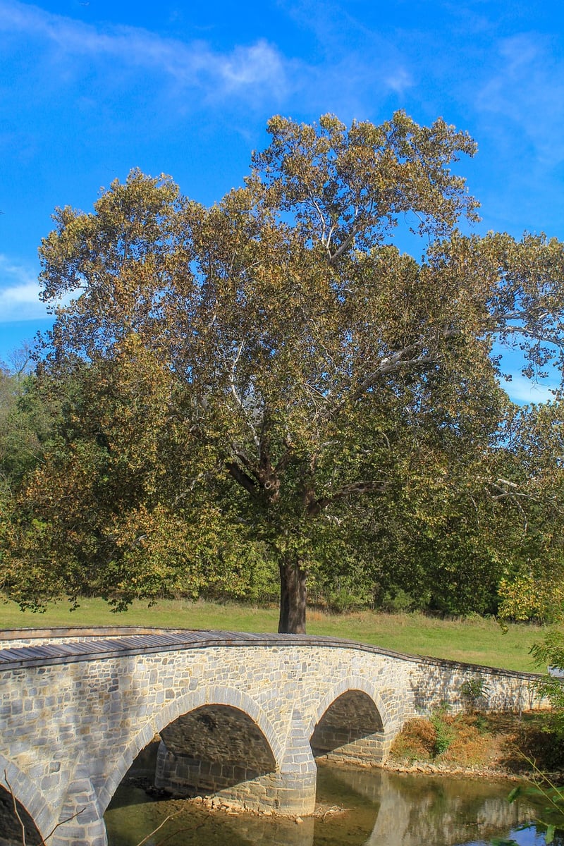 Historical Event Witness